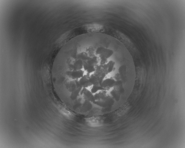 X0000070250761200606021156