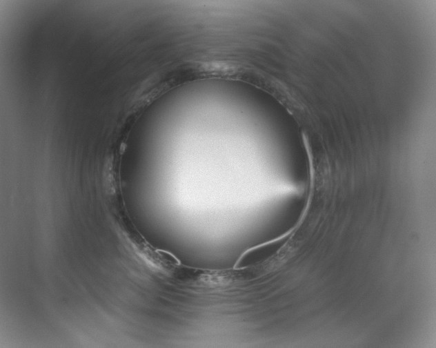 X0000070250764200606021156