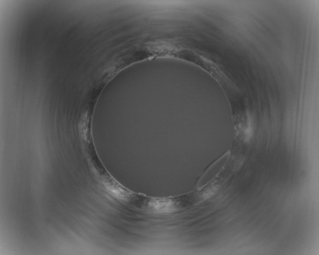 X0000070250767200606021156