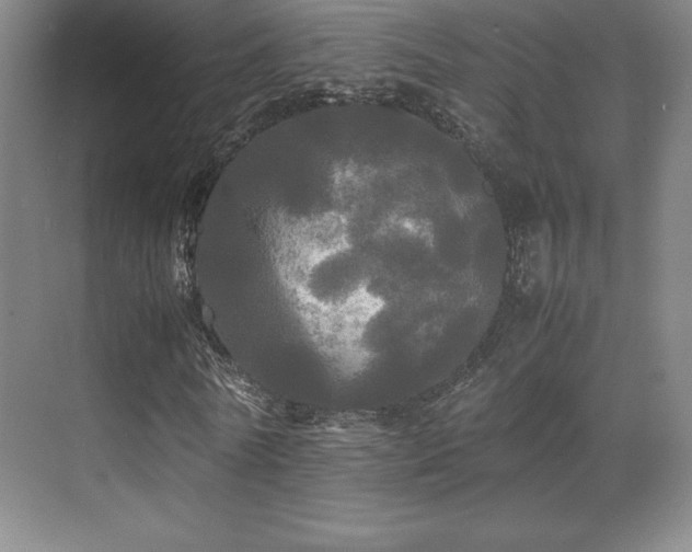 X0000070250770200606021155