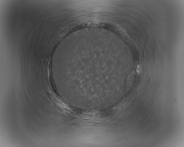 X0000070250771200606021155