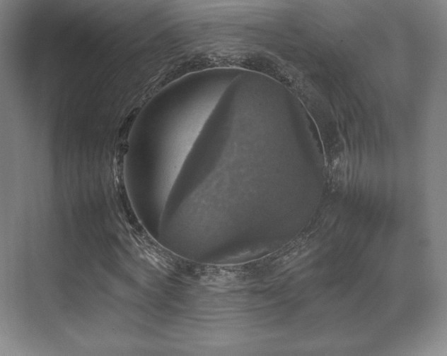 X0000070250772200606021155