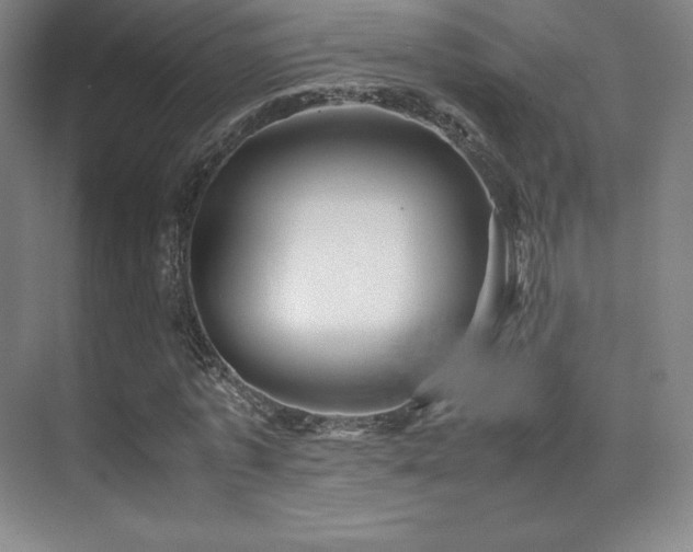 X0000070250773200606021155