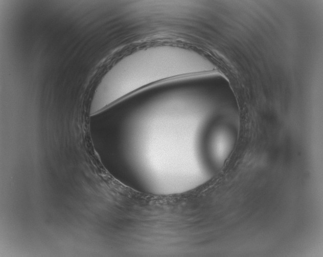 X0000070250776200606021155
