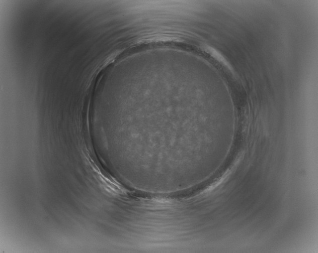 X0000070250777200606021155
