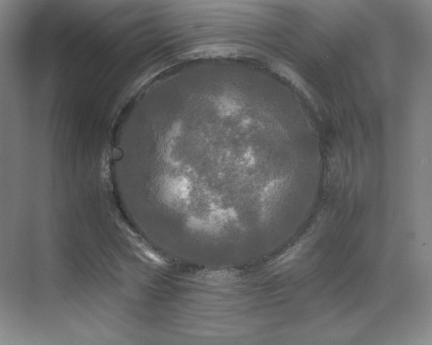 X0000070250778200606021155