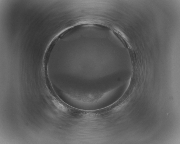 X0000070250779200606021155