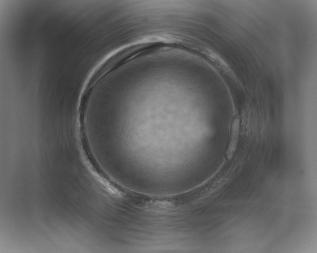X0000070250784200606021155