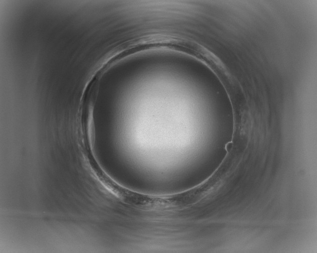 X0000070250786200606021155