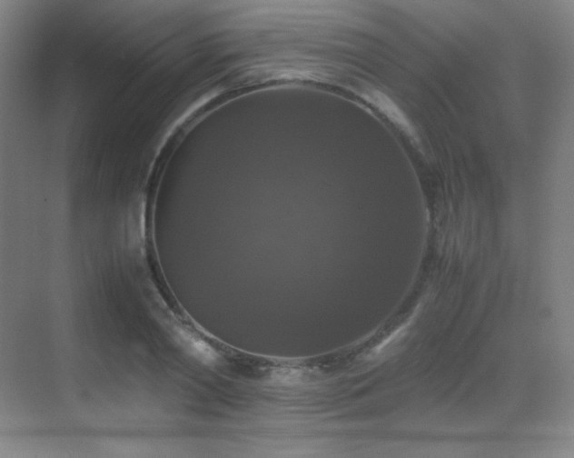 X0000070250790200606021155