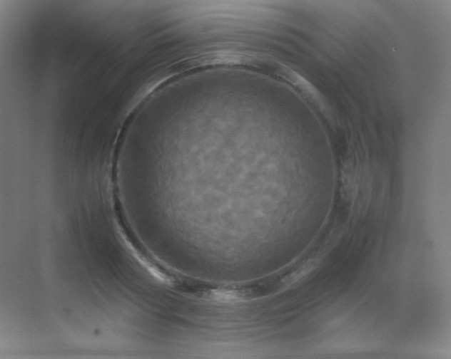 X0000070250794200606021154
