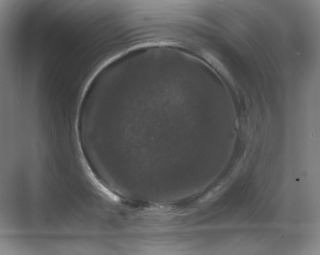 X0000070250797200606021154