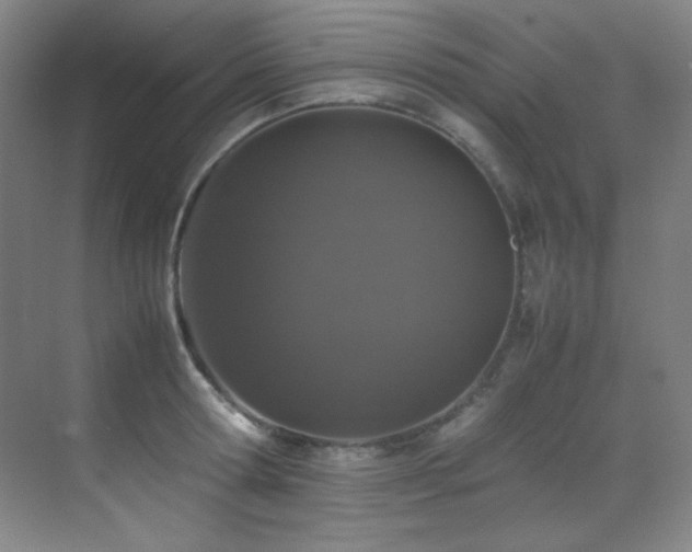 X0000070250802200606021154