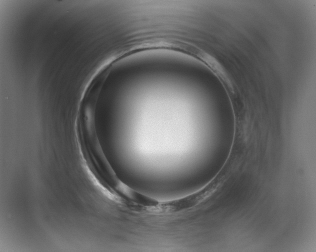 X0000070250805200606021154