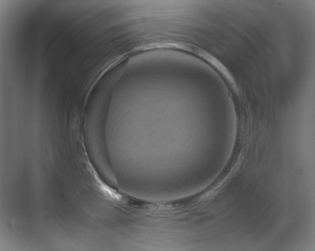 X0000070250809200606021154