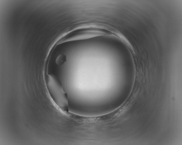 X0000070250813200606021154