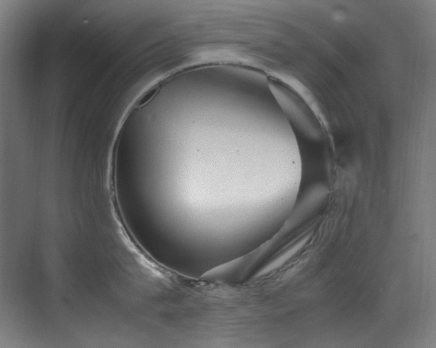 X0000070250815200606021154