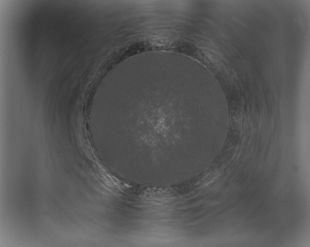 X0000070250817200606021153