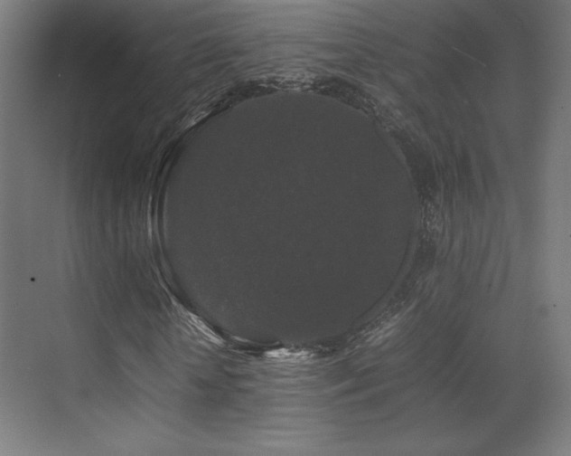 X0000070250818200606021153