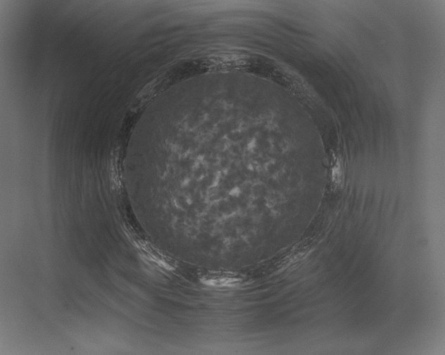 X0000070250819200606021153