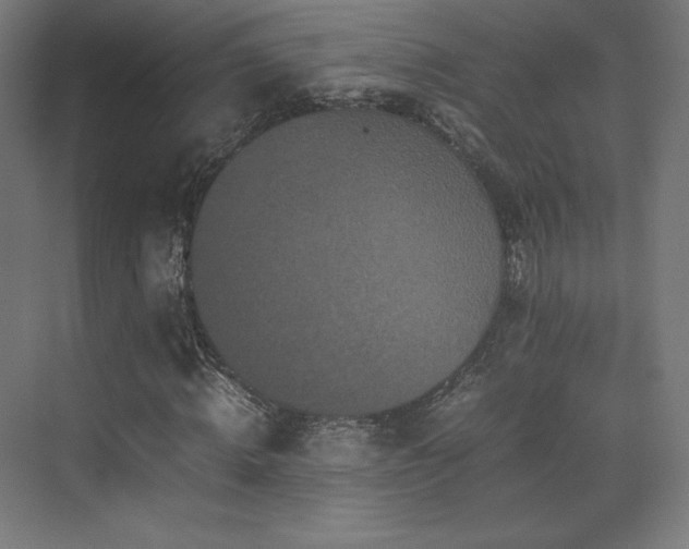 X0000070250820200606021153