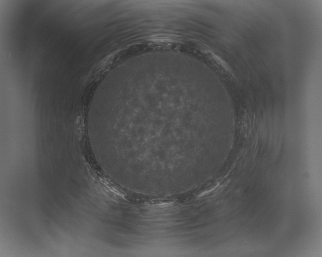 X0000070250821200606021153