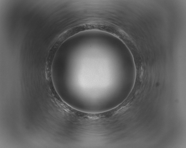X0000070250822200606021153