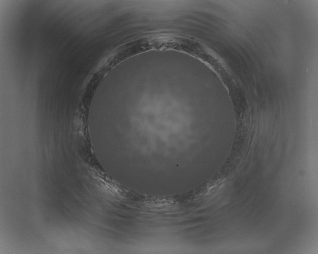 X0000070250823200606021153