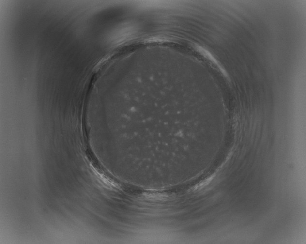 X0000070250825200606021153