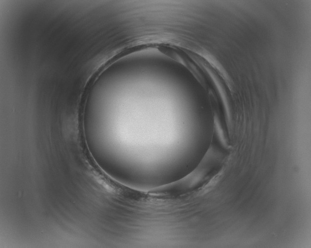 X0000070250834200606021154