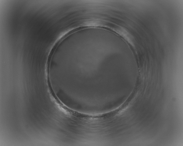 X0000070250839200606021154
