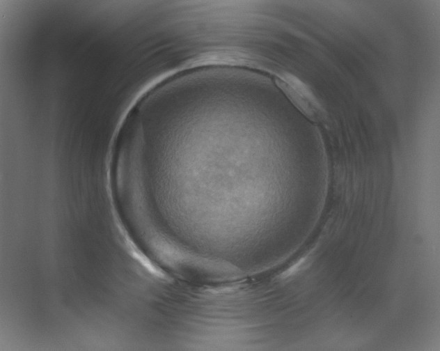 X0000070250846200606021154