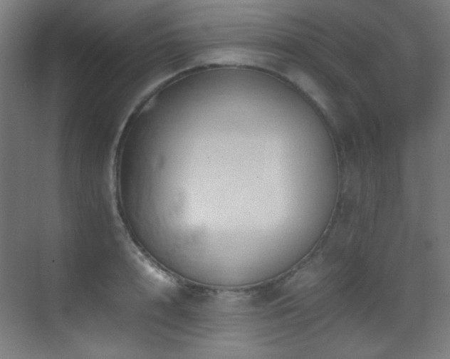 X0000070250848200606021154