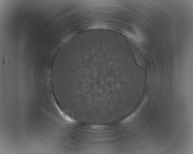 X0000070250849200606021154