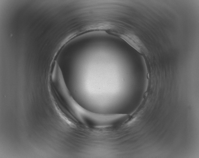 X0000070250850200606021154