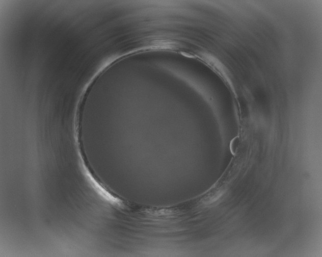 X0000070250851200606021154