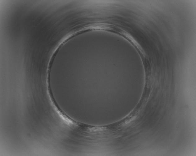 X0000070250853200606021154