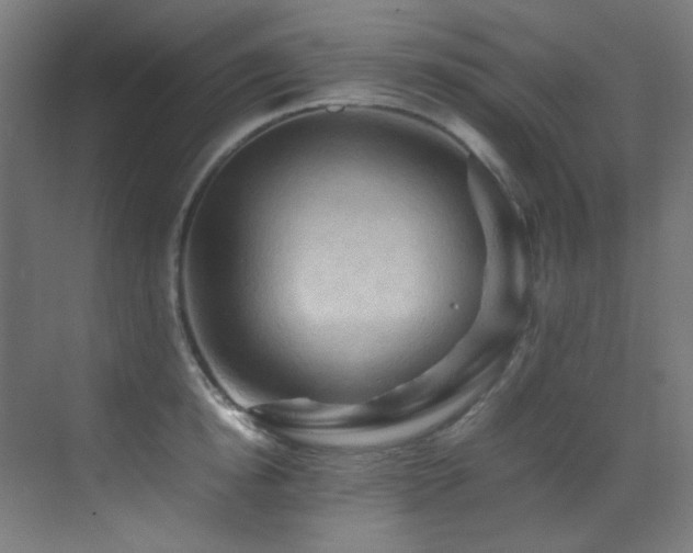 X0000070250854200606021154
