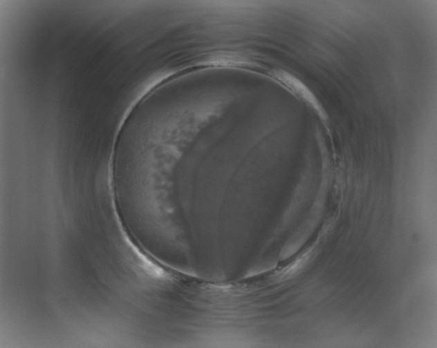 X0000070250855200606021154