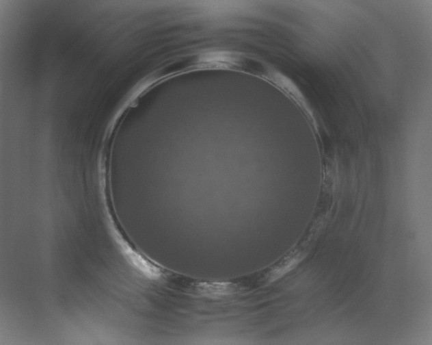 X0000070250859200606021154