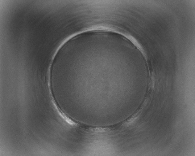 X0000070250862200606021154