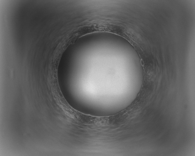 X0000070250865200606021153