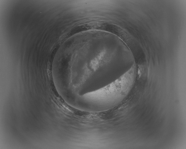 X0000070250867200606021153