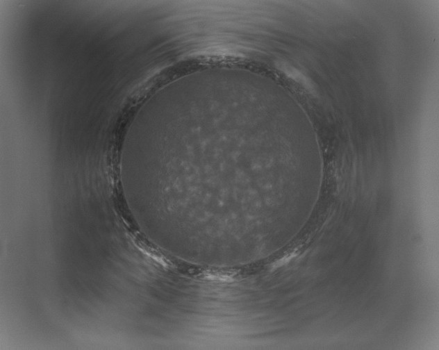 X0000070250870200606021153