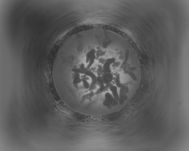 X0000070250871200606021153
