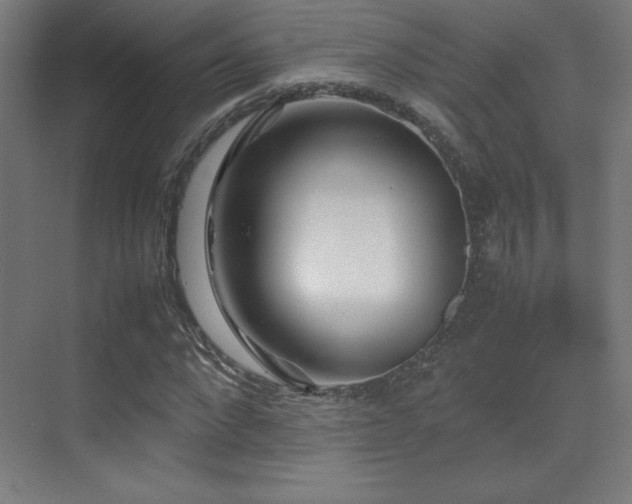 X0000070250872200606021153