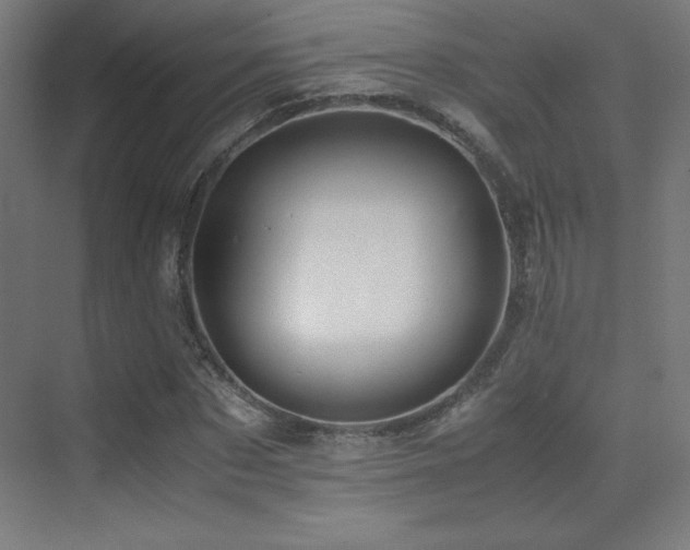 X0000070250873200606021153
