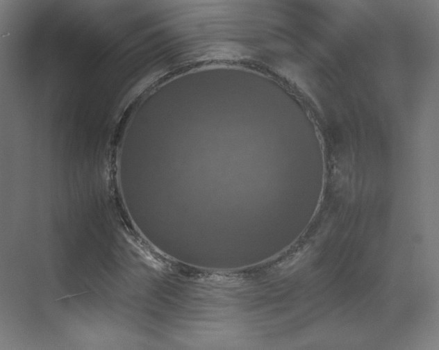 X0000070250874200606021153