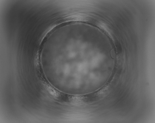 X0000070250875200606021153