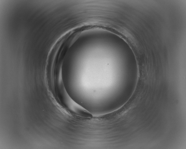 X0000070250880200606021153